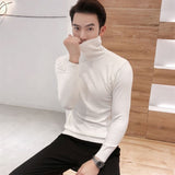 Winter New Men's Turtleneck Sweaters Black Sexy Brand Knitted Pullovers Men Solid Color Casual Male Sweater Autumn Knitwear jinquedai