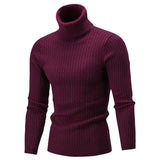 Jinquedai Autumn Winter Men's Turtleneck Sweater Men's Knitting Pullovers Rollneck Knitted Sweater Warm Men Jumper Slim Fit Casual Sweater jinquedai