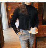 Jinquedai Top Quality Autumn Winter Turtleneck Solid Twist Sweater Men Clothing All Match Slim Fit Casual Knit Pullovers Pull Homme jinquedai