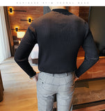 Jinquedai Top Quality Autumn Winter Turtleneck Solid Twist Sweater Men Clothing All Match Slim Fit Casual Knit Pullovers Pull Homme jinquedai