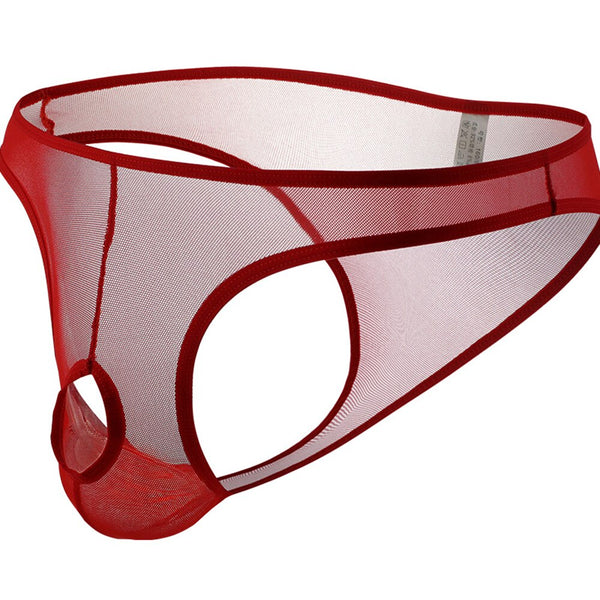 Jinquedai Men's Sexy See-through U-convex Underwear Mesh Transparent B ...