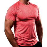 Slim Fit Sport Tshirt Fintss T Shirts Men Compression Shirt GYM T-shirt Elastic Running Shirts Male Bodybuildin Tees Sports Top jinquedai