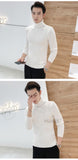 Winter New Men's Turtleneck Sweaters Black Sexy Brand Knitted Pullovers Men Solid Color Casual Male Sweater Autumn Knitwear jinquedai