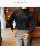 Jinquedai Top Quality Autumn Winter Turtleneck Solid Twist Sweater Men Clothing All Match Slim Fit Casual Knit Pullovers Pull Homme jinquedai