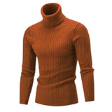 Jinquedai Autumn Winter Men's Turtleneck Sweater Men's Knitting Pullovers Rollneck Knitted Sweater Warm Men Jumper Slim Fit Casual Sweater jinquedai